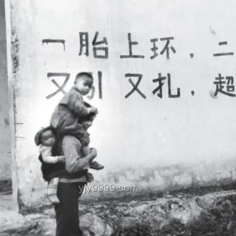 生育观念与市场驱动下的“急迫”生育行业洞察